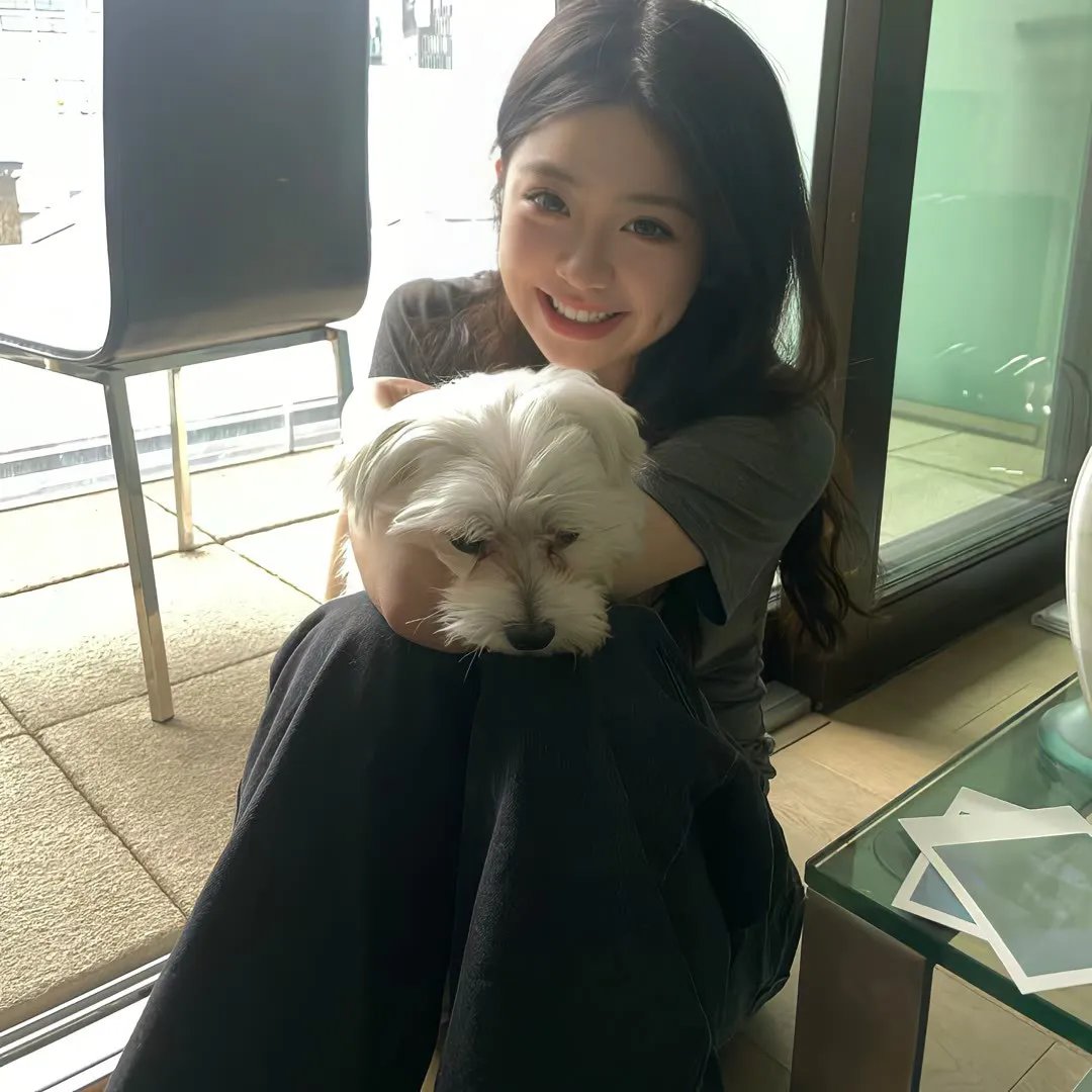 真爱的谎言之破冰者